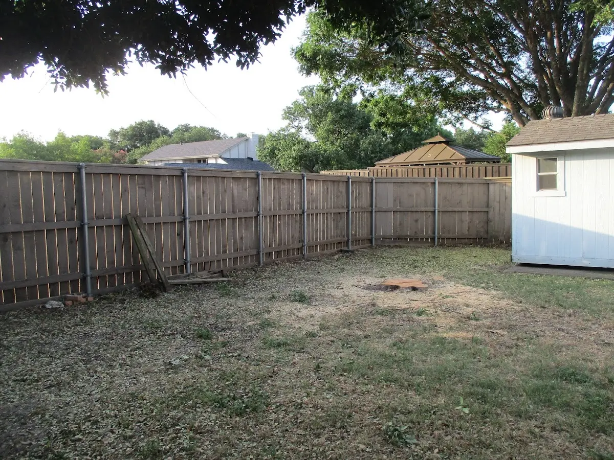 Cleared yard after professional tree removal in Dilliner